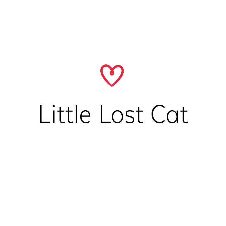 Little Lost Cat