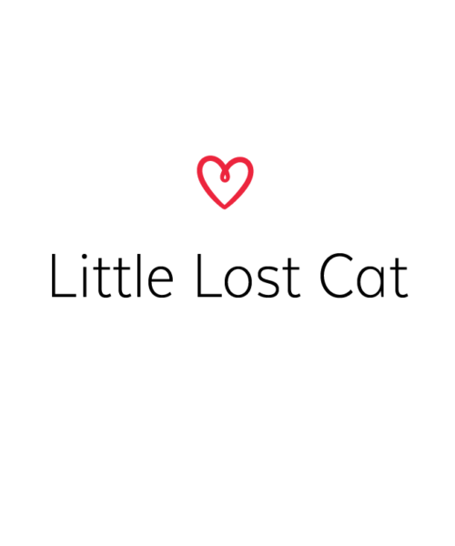 Little Lost Cat
